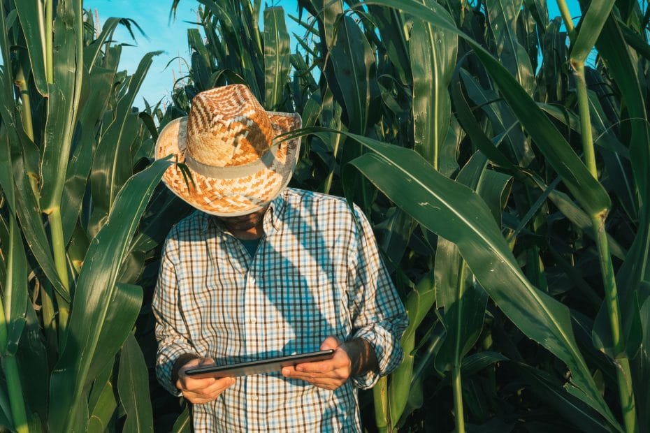 Los formularios digitales son el aliado actual del agricultor para ser más eficaces.