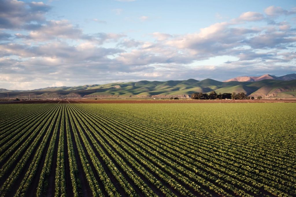 El riego inteligente y el control de plagas como parte de la tecnología agrícola.