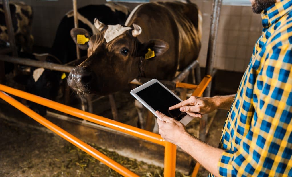 Un agrónomo controla, desde su aplicación, todos los datos relativos a su explotación ganadera reflejados en un informe.