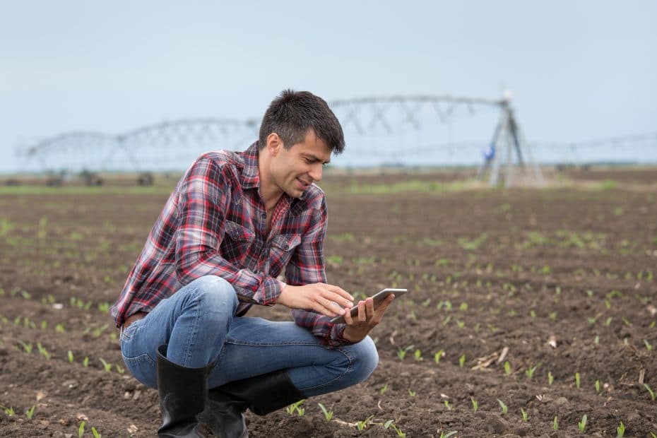 Los casos de éxito en la digitalización del mercado agrario deben darse a conocer.