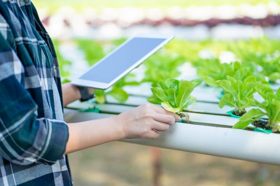 Un agricultor controla su negocio tras digitalizar su operación agrícola con AgtechApps.