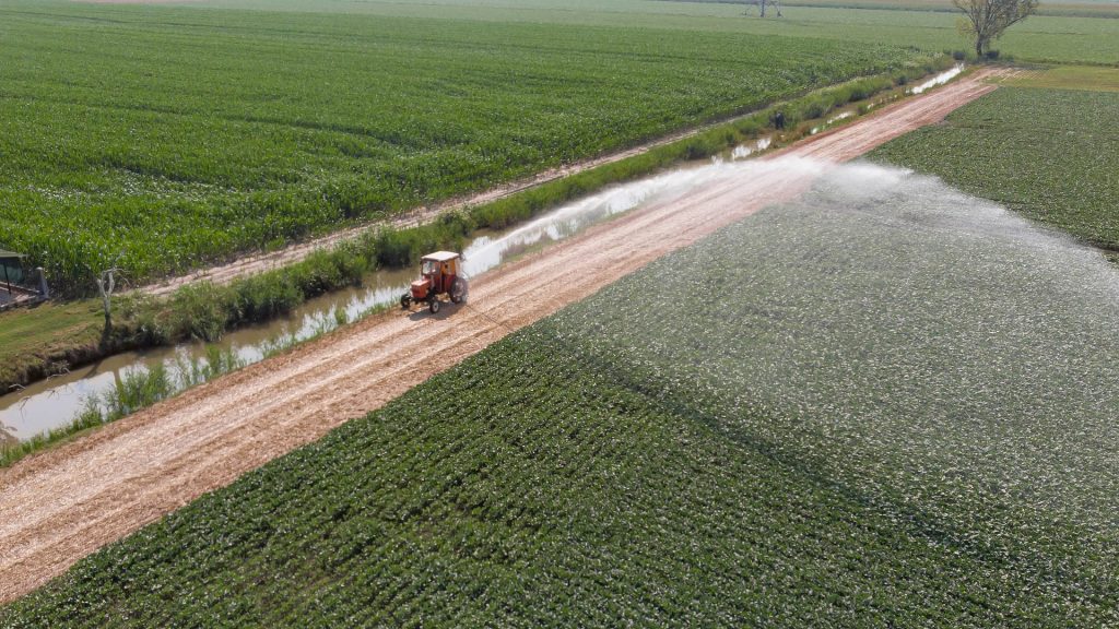 El desarrollo de una cultura de trabajo smart es uno de los beneficios de la agrotecnología. ¡Riega solo donde lo necesites!