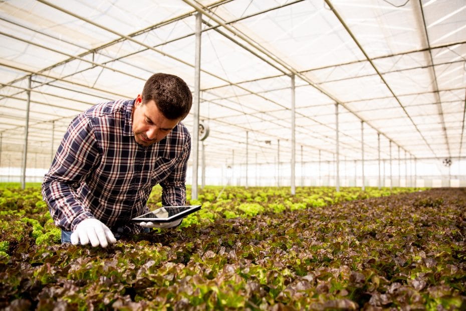 El impacto de la tecnología en el campo es muy positivo. ¡Descúbrelo!