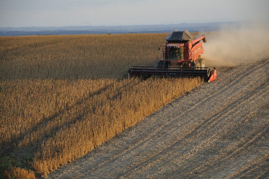 La agricultura en la nube ya es el futuro del agronegocio.