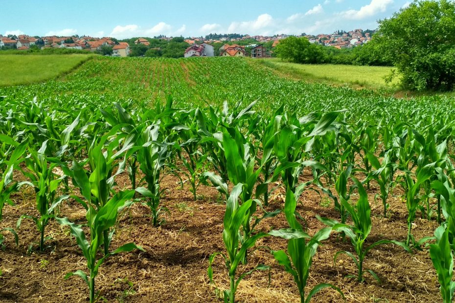 Conoce algunos precepctos de la agriultura responsable y aprende a incentivarla con nuestras apps.