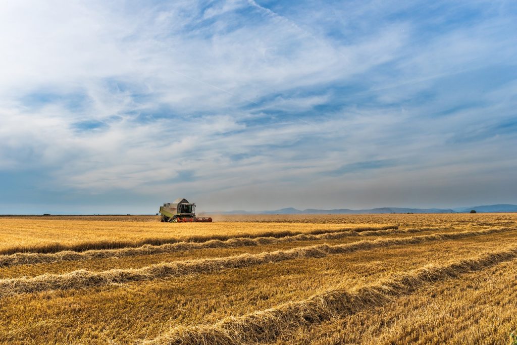 La integración agricultura-ganadería-bosques gana fuerza en el agro y las apps ayudan a mantener el equilibrio.