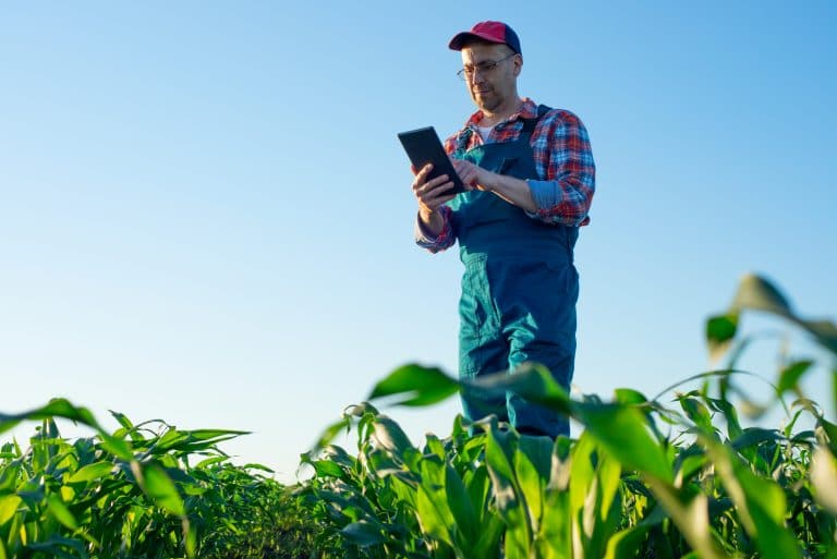 La gestión de la información agrícola debe ser efectuada siguiendo unas buenas prácticas.