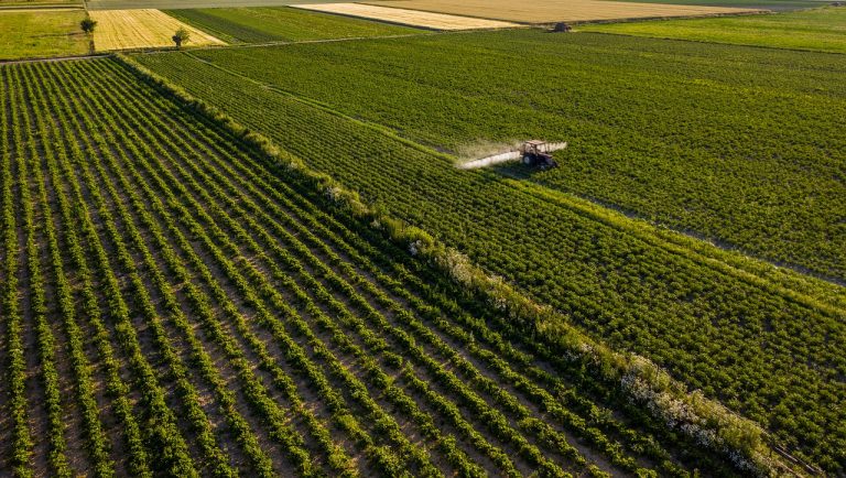 Conoce las principales tendencias en la digitalización del agro.