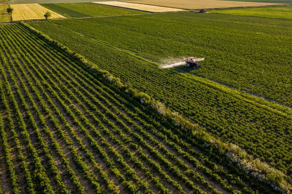 Conoce las principales tendencias en la digitalización del agro.