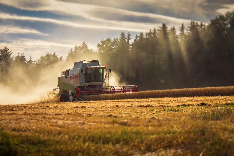 La integración de apps agrícolas se perfila como una de las prácticas más adecuadas en el campo.