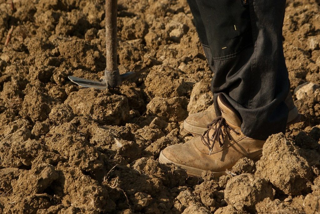 Agrónomos y dueños de negocios agrícolas valoran cada vez la tecnología gracias a su funcionalidad en cualquier lugar.