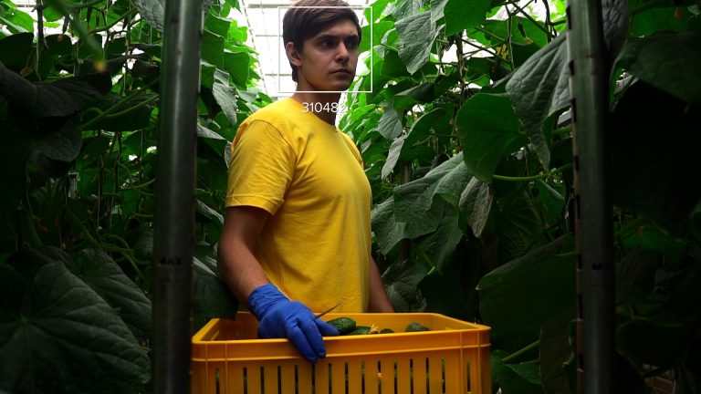 Interfaz de LaborApp, el software para el reconocimiento facial en el agro.