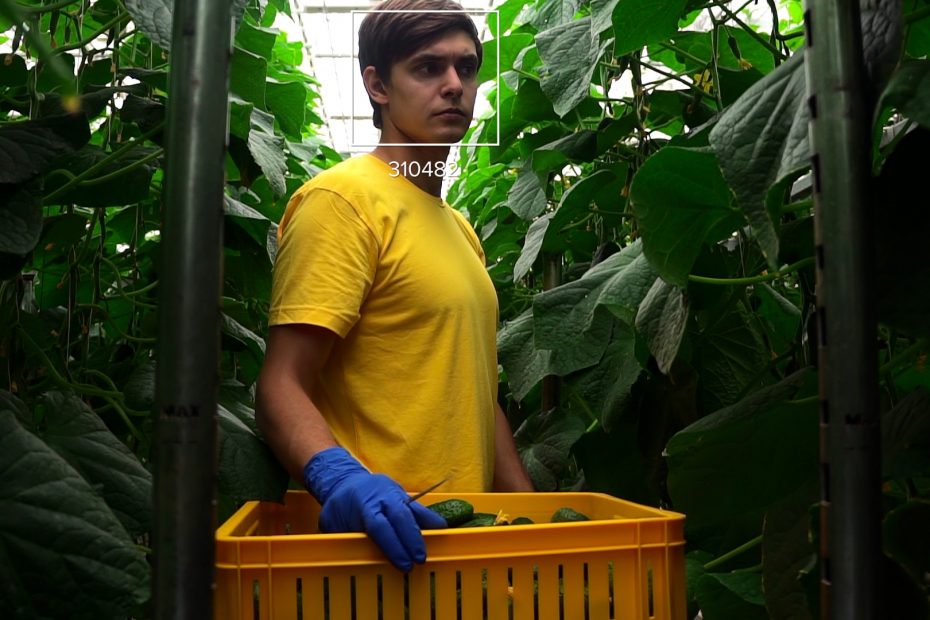 Interfaz de LaborApp, el software para el reconocimiento facial en el agro.