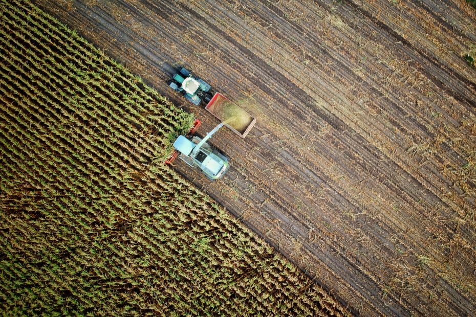 Los agrónomos ante la digitalización: miedos y factores.